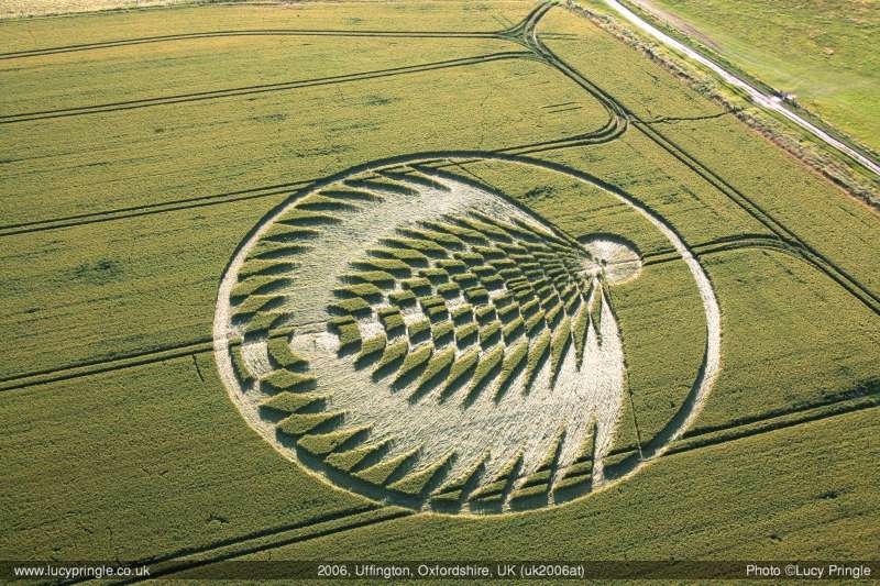 cropcircle116.jpg