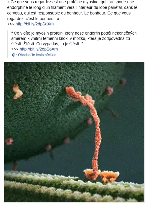 myosin.jpg