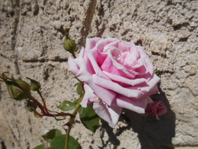 DSCN0908.JPG