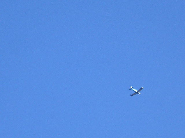 DSCN1633.JPG