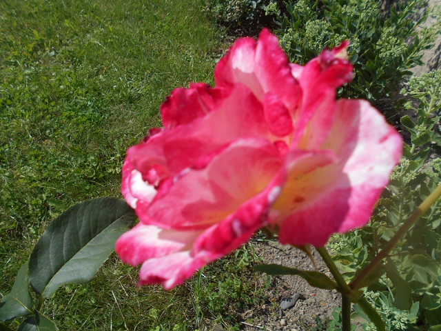 DSCN2417.JPG