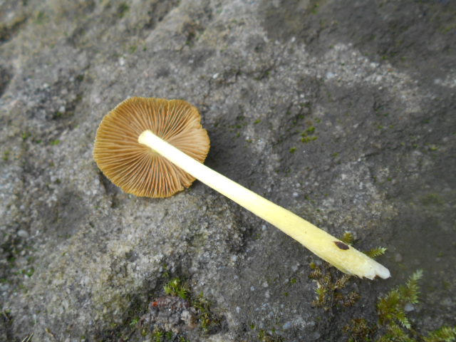 DSCN2971.JPG