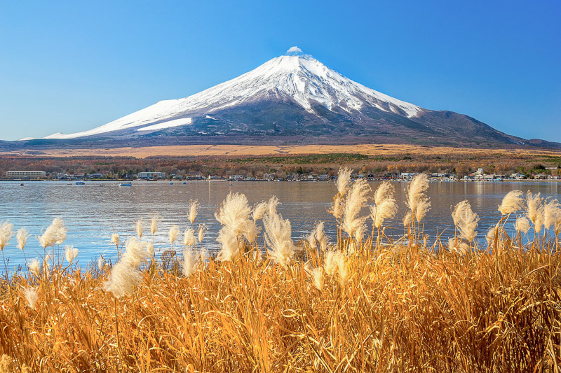 morgenstimmung-am-see-yamanaka-mit-dem-mount-fuji-im-hintergrund-japan.jpg