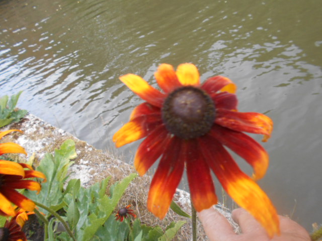 DSCN6776.JPG