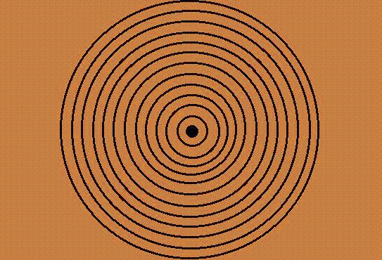 315876_2171640283129_612909644_n.jpg