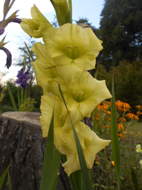 DSCN1133.JPG