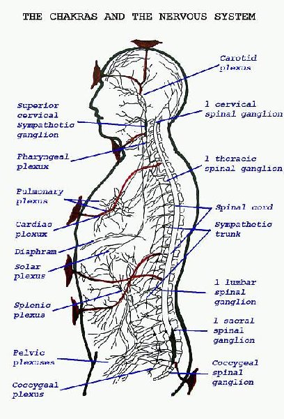 chakras_chart_leadbeater.jpg