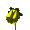 :yellowflower:
