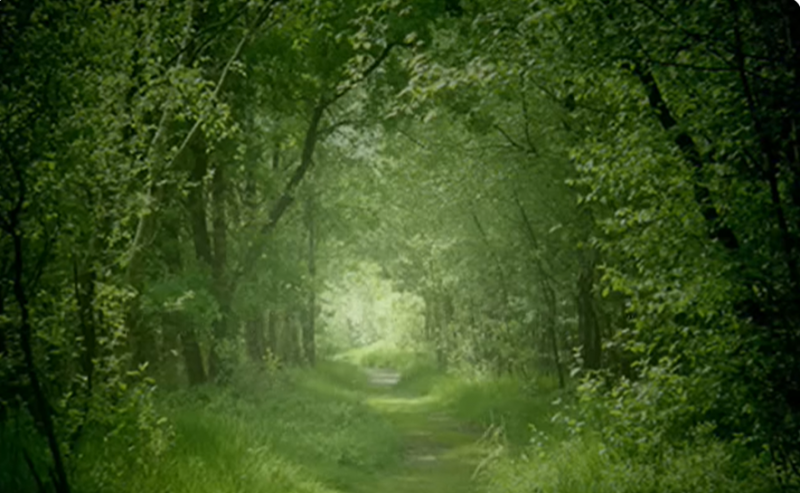 Snímek obrazovky 2026-02-09 184527.png